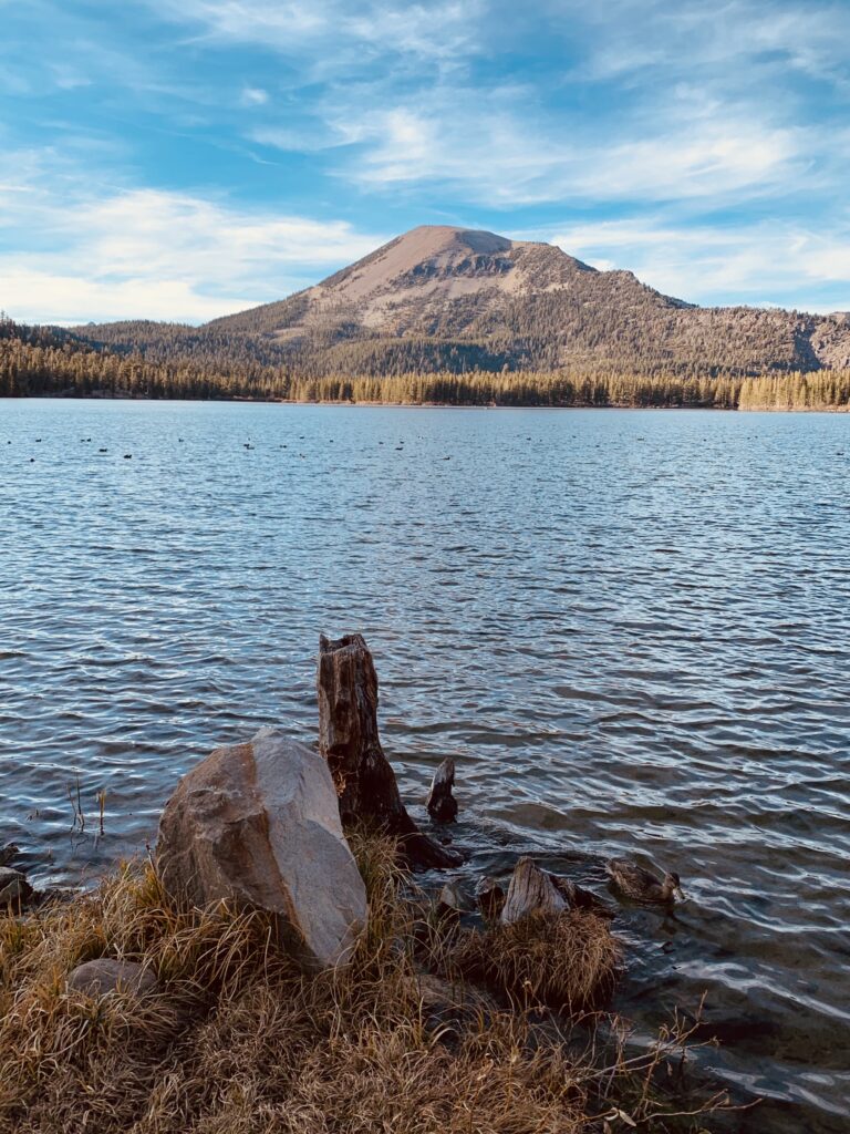 A photo of a mountain and a lake with a tree stump and rock in the foreground